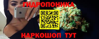 трава Аша